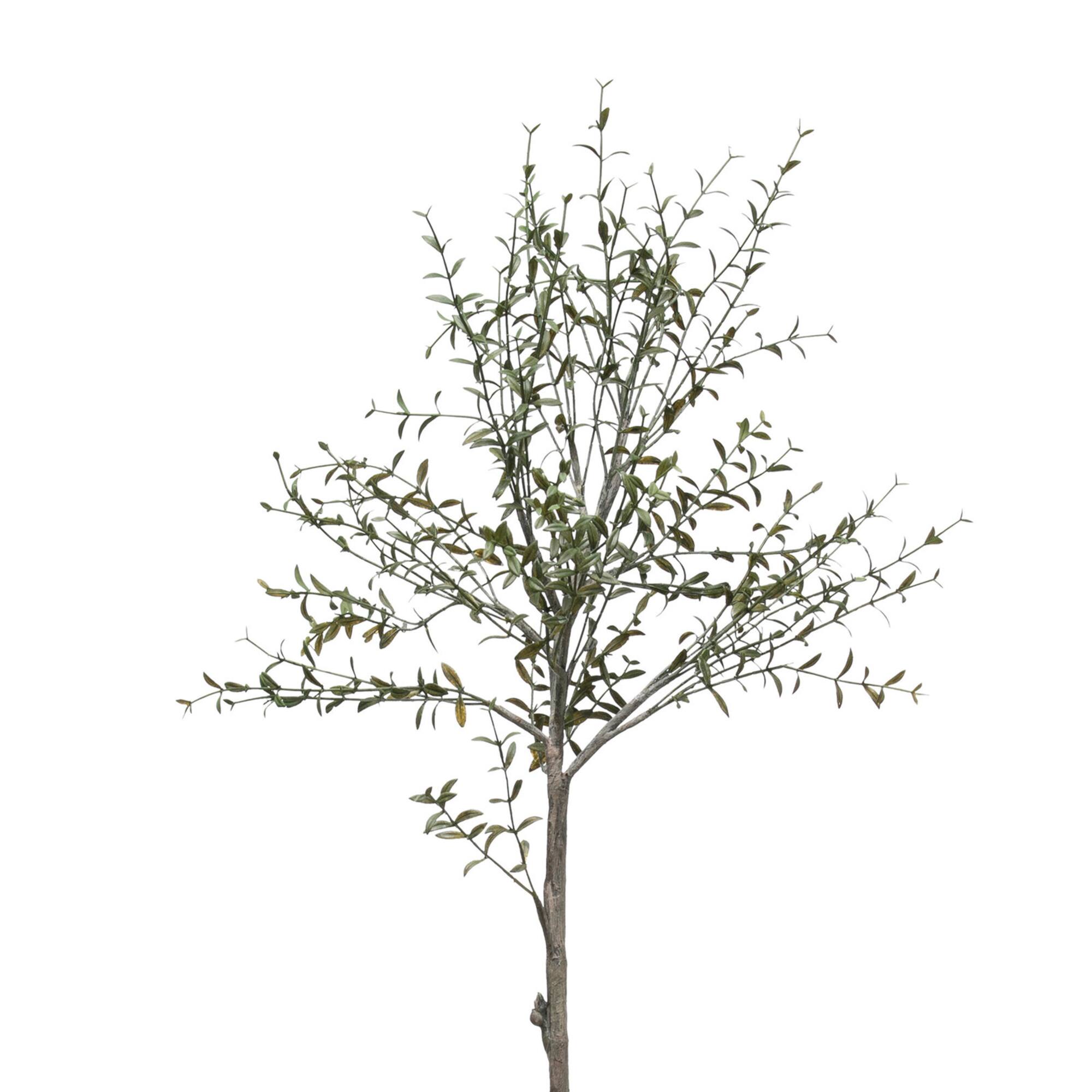 Hello Honey® 29" Potted Thyme Topiary Tree